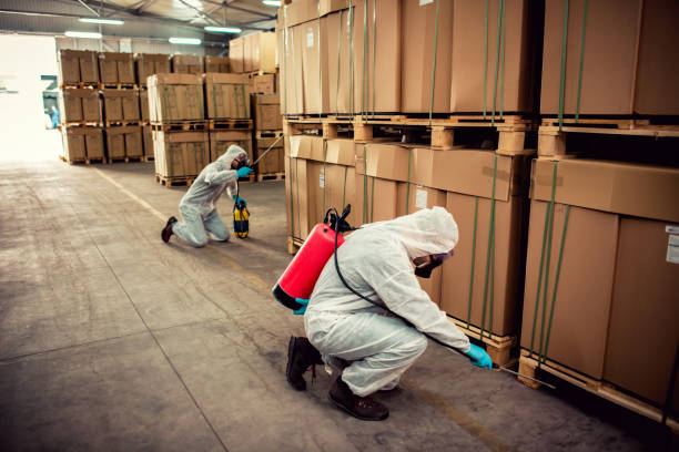 Pest Prevention Services in Winnemucca, NV