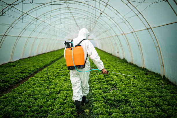 Best Residential Pest Control  in Winnemucca, NV