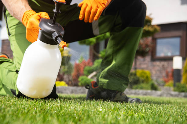 Best Best Pest Control Companies  in Winnemucca, NV