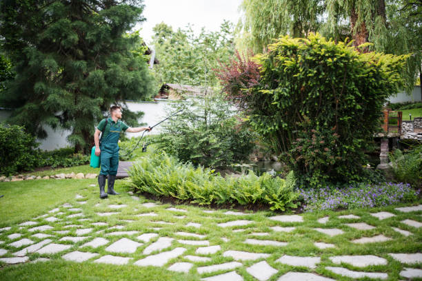 Best Mosquito Control Services  in Winnemucca, NV