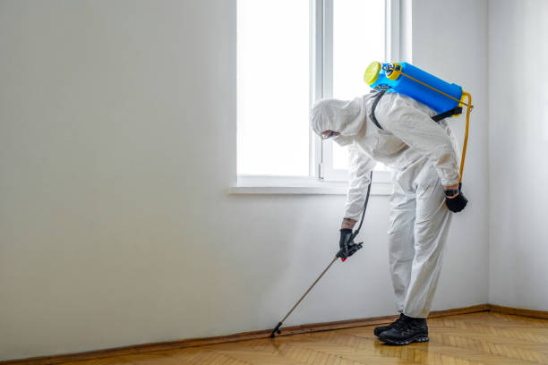 Reliable Winnemucca, NV Pest Control Solutions