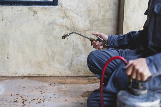 Best Local Pest Control Services  in Winnemucca, NV