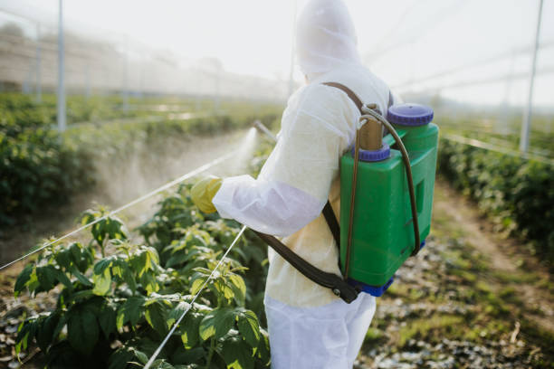  Winnemucca, NV Pest Control Pros